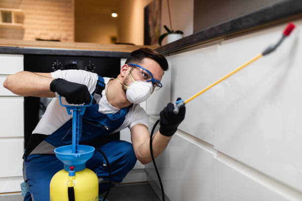 Best Wildlife Control Services  in Sand Springs, OK