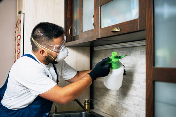 Best Best Pest Control Companies  in Sand Springs, OK