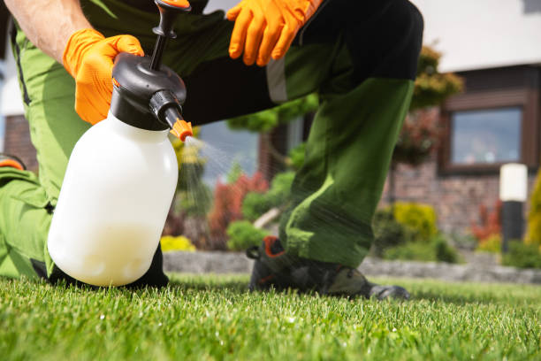 Best Pest Inspection Near Me  in Sand Springs, OK