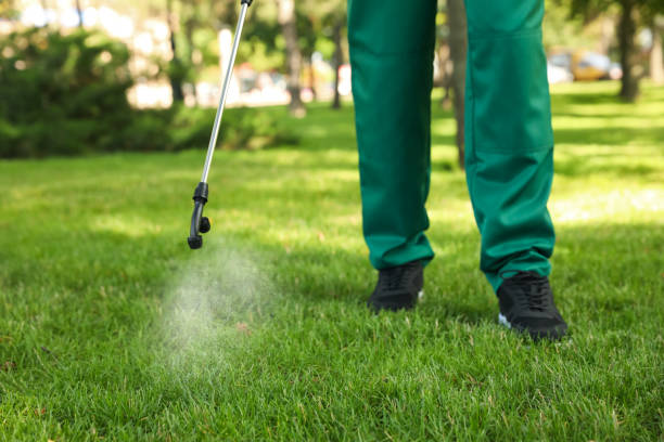 Best Affordable Pest Control Services  in Sand Springs, OK