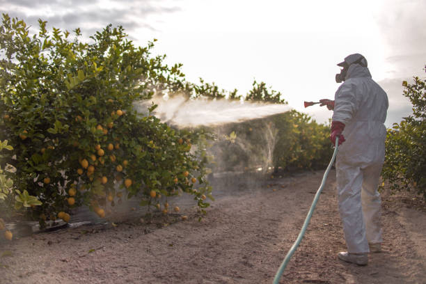 Best Pest Prevention Services  in Sand Springs, OK