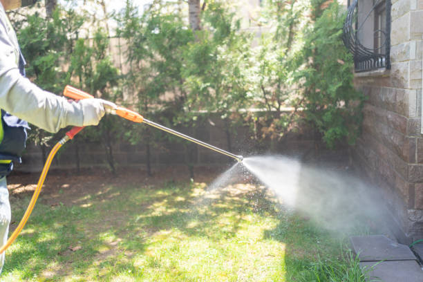Pest Control for Restaurants in Sand Springs, OK