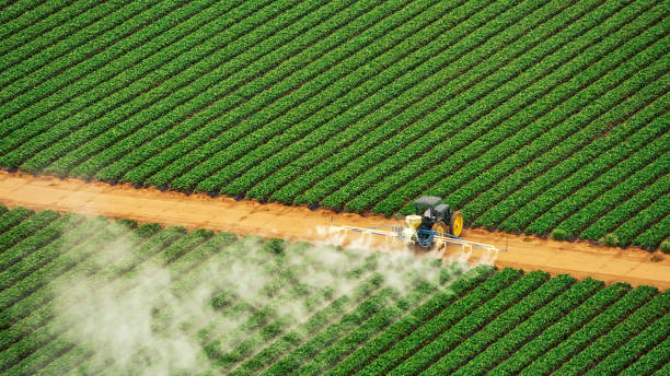 Best Pest Control for Restaurants  in Sand Springs, OK