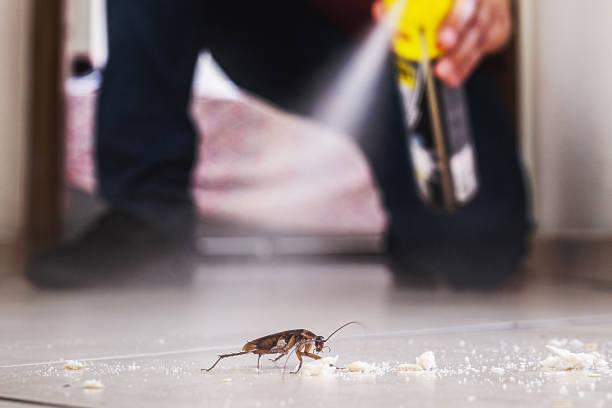Best Commercial Pest Control Services  in Sand Springs, OK