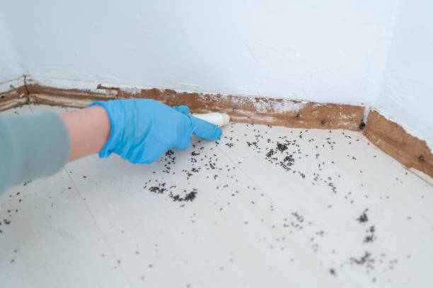 Best Best Pest Control Companies  in Sand Springs, OK